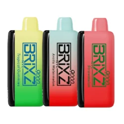 BRIXZ NYC DISPOSABLE 9000PUFF