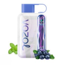 VOZOL STAR 40000PUFF DISPOSABLE - PACK OF 10